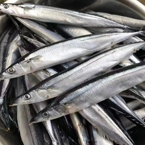Saury du Pacifique congelé BQF, boîte de 10 kg/emballage en vrac, sans additifs, <span class=keywords><strong>poisson</strong></span> de pêche en <span class=keywords><strong>mer</strong></span>, qualité certifiée ISO HACCP HALAL pour les sushis - Product Image 1