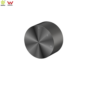 <span class=keywords><strong>Miscelatore</strong></span> <span class=keywords><strong>da</strong></span> Parete per Bagno in Acciaio Inox 304 con Finitura PVD Gun Metal e Design Progressivo Circolare - Product Image 1