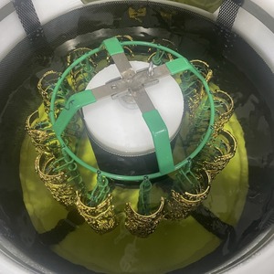 Macchina per Elettroplaccatura e Elettroformatura 3D/5D Ecologica, Soluzione Chiavi in Mano per l'Industria di Gioielli e Ornamenti - Product Image 5