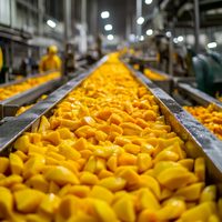 Kesar Mangopulp Passievrucht Pulper Druif Aardbei Pulp Puree Maken Machine Perzik Pulp Sap Concentraat Verwerkingslijn