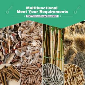 छोटे/मिनी कागज गोली प्रेस डंठल, बिल्ली कूड़े उपयोग चूरा लकड़ी सबसे अच्छा बिक्री खेत घर बनाने के लिए बायोमास, ricehusk, घास, घास, कपास - Product Image 6