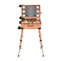Chine usine bas quantité minimale de commande facile à transporter interrupteur tactile portable lumière led maquillage boîtier en aluminium avec roue