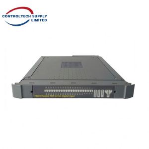 Ensemble de terminaison d'output numérique ICS TRIPLEX T8403CX - 8 canaux doubles, 24V Haute fiabilité pour le contrôle industriel - Product Image 4