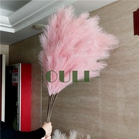 F-1709 Vente en Gros 110-120cm de Hauts Fleurs Séchées de Pampa Naturelles Grande Herbe de la Pampa Séchée Blanche Moelleuse pour Décoration