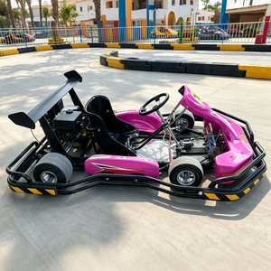 Commercial 200cc Gasoline-Powered Rental Go-<b>Kart</b> - Product Image 3