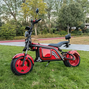Venta al por Mayor, <span class=keywords><strong>Precio</strong></span> de Fábrica en China, Motocicleta Eléctrica Citycoco <span class=keywords><strong>2023</strong></span>, Diseño Popular, Motor de 12 Pulgadas - Product Image 2