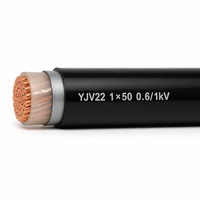 Câble électrique blindé en cuivre YJV22 0,6/1 kV 1 conducteur 50 mm² avec gaine en PVC pour projet de construction 1*50 mm²