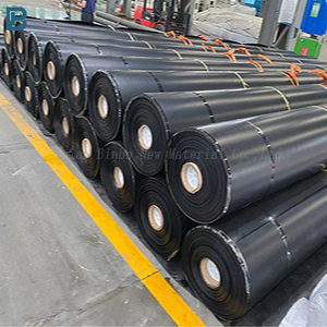Ventes directes d'usine professionnelles moderne 0.5-2mm HDPE géomembrane résistant aux UV en PVC LDPE EVA LLDPE polyéthylène renforcé - Product Image 6
