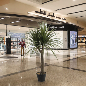 120cm(47 pulgadas) de altura 140 Uds hojas artificiales Dracaena <span class=keywords><strong>Draco</strong></span> árbol bonsái jardín dragón sangre planta única planta Artificial - Product Image 6