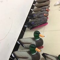 Dongguan usine offre mousse utilisé leurres de canard