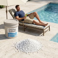 E20260806 Fournisseur en gros de granulés de qualité piscine, spécification 5-8 Mesh