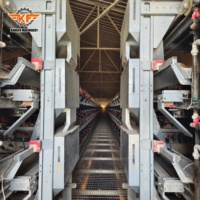 Système d'alimentation et d'abreuvement automatique à 4 niveaux pour poules pondeuses, cage à poulets de type H, poulailler
