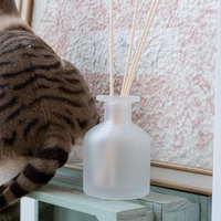Désodorisant de luxe Bâton de rotin écologique givré Diffuseur de roseau en verre Bouteille avec boîte d'emballage