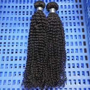 Meches humaines en gros vierge indien humain tressage en vrac afro crépus russe blond produits de soin cheveux vendeurs Extensions brésil