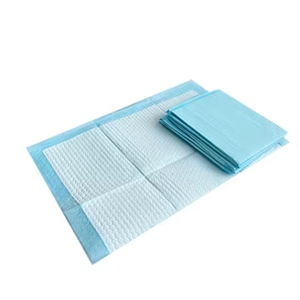 HJ Puppy Training Pad Wholesalers 60X60 Puppy Training Toilet Wee Plas Ads Disposable Anti-slip Basic Dog and Puppy Pee Pads - Product Image 3