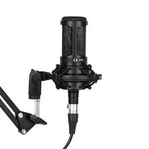 Microphone à condensateur professionnel AT2020, maître de l'enregistrement sonore, un son qui touche l'âme - Product Image 2