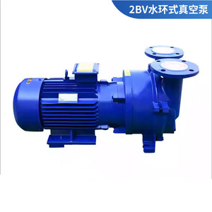 Bomba de Vacío de Anillo Líquido 2BV, Motor Eléctrico de 3 HP, Conexión por Brida, Uso Industrial - Product Image 4
