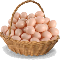 Huevos falsos de plástico, modelo de broma, granja, pollo, nido, gallina, incubar