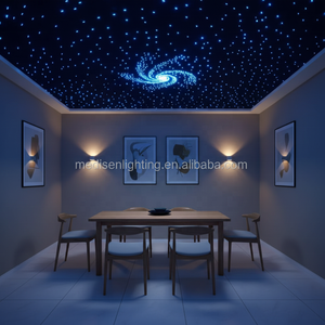 LED Farbwechsel 16W 0,75mm Glasfaser Sternenhimmel Deckenbeleuchtung für Weltraum-/Universum-Museum/KTV/Bar/Hotel - Product Image 6