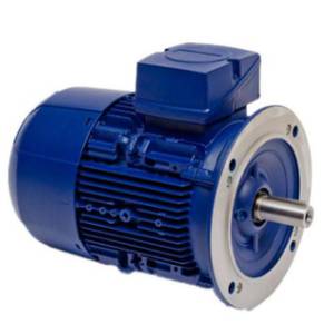 Birkenbeul มอเตอร์สามเฟส8APE132M-4-IE3 AC 460V ใช้งานทั่วไป - Product Image 2