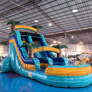 Nhà máy tùy chỉnh dành cho người lớn trượt nước cây cọ sân sau Inflatable trượt nước với hồ bơi cho bữa tiệc - Product Image 1