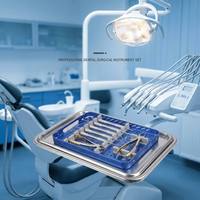 Ensemble d'instruments dentaires vétérinaires CE ISO, kit complet de chirurgie dentaire pour petits animaux, kit d'extraction dentaire de qualité supérieure