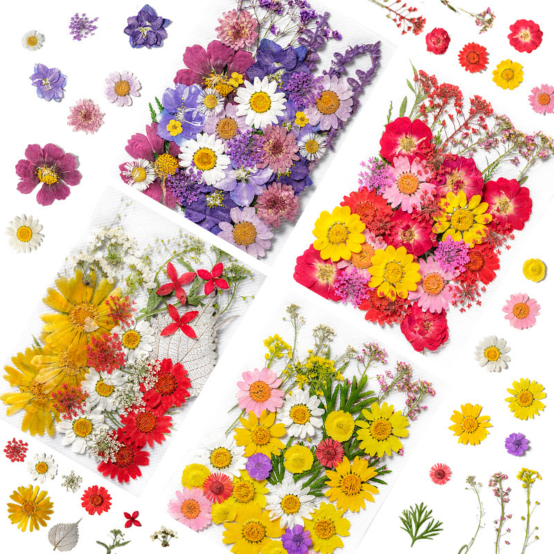 Wholesale Bulk Dried Flower Resin Drip