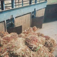 Palmfruit En Kerneloliepersproductielijn Oliewinningsmachine Voor Geraffineerde En Gefractioneerde Palmolieverwerking