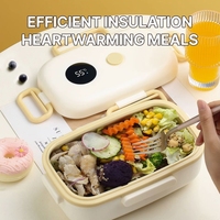 Boîte à lunch chauffante en acier inoxydable 304, 1000 ml, étanche, affichage de la température tactile, chauffe-plat à 2 compartiments pour le bureau et la maison