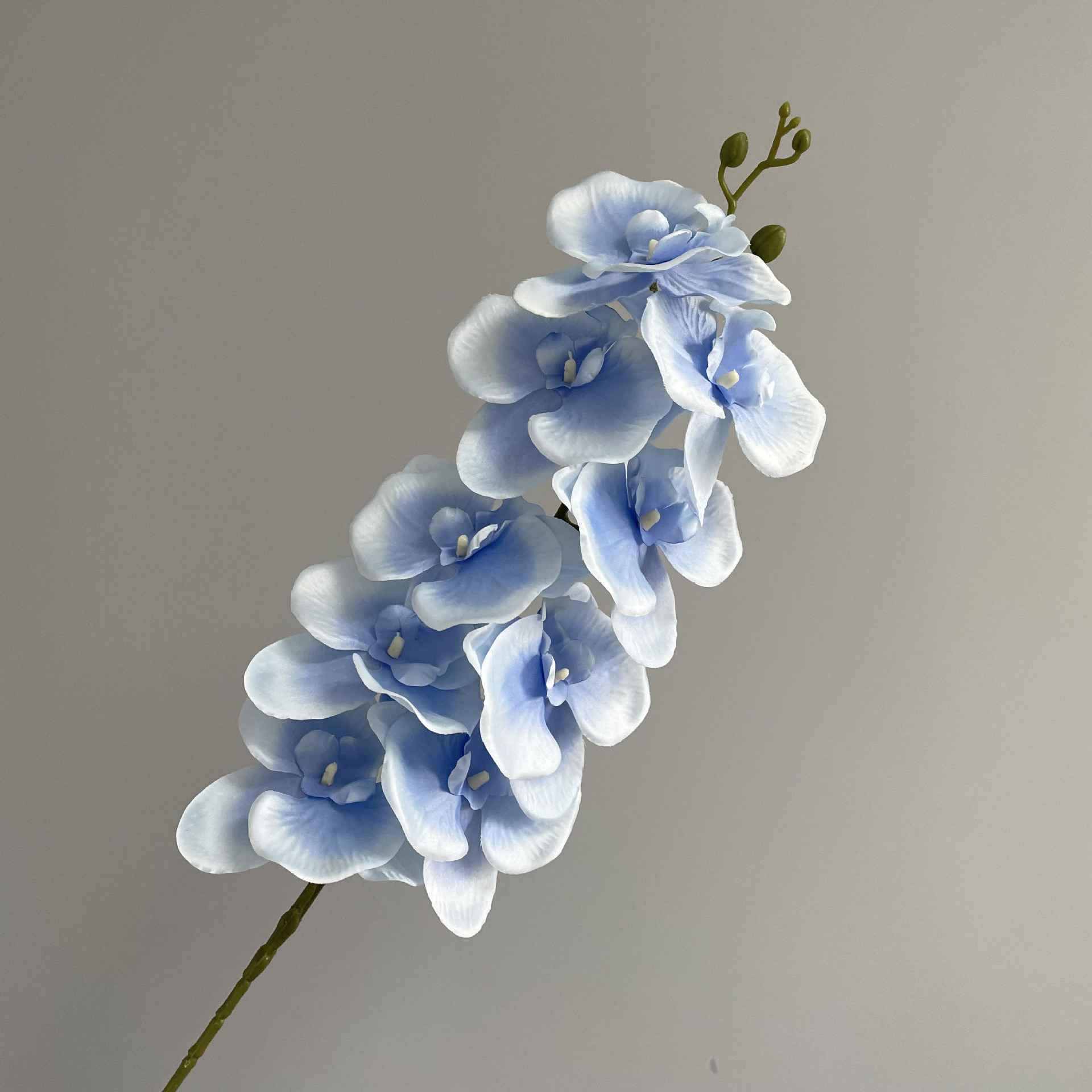 Blu-chiaro