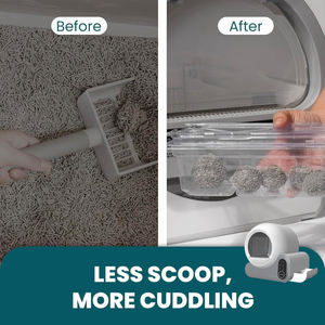 70L Kapazität Smart Monitoring Automatische Katzen toilette Mehrere Intelligente, einschl ießlich geruchloser Selbst reinigung Easy Clean Cat - Product Image 2