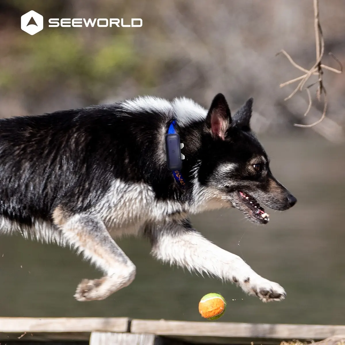 Virtuele Geofencing Dog Gps Gsm 4G Pet Tracker Tracking Kraag Voor Jachthonden