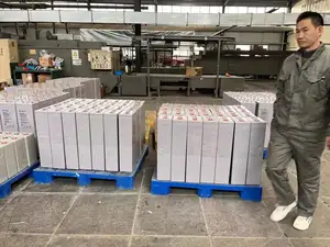 Zonne-Batterij Buisvormige Opzv 2V 600ah Lood Zuur Batterij Energie-Opslag Batterij Voor Ups