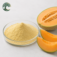 YUSAIL Poudre d'extrait de cantaloup 100% naturelle de qualité alimentaire, poudre de melon Hami pour les boissons