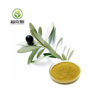 Bester Preis Lieferung Oliven blattex trakt HPLC Oleuropein 20% Hydroxy tyrosol Oliven blattex trakt - Product Image 1