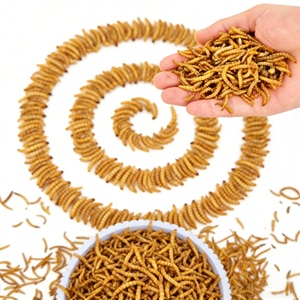 <span class=keywords><strong>Gusanos</strong></span> de harina secos a granel para alimentación de aves, suplemento proteico de grillo, <span class=keywords><strong>gusanos</strong></span> para pollos, peces, hámsteres, loros y pájaros - Product Image 3