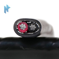 0,6/1kv 2x8 3x2x10 6 3x8 AG XPPIsulsulnsulado inum luminum/opopper Core ononcentric able