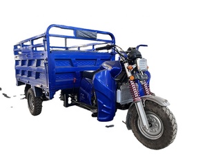 Triciclo de Carga de Alta Velocidad, Gran Potencia, Fuerte Capacidad de Escalada, Triciclo de Construcción de 3 Ruedas, de Gasolina - Product Image 1