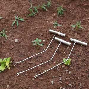 Sweet Potato Planting Tool - Angle-Designed <strong>Dibber</strong> for Higher Yields | Gentle on Seedlings | Flat-Planting Method - Product Image 5