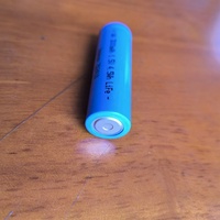 Batteries au lithium primaires en gros Lifes2 Li-Fe Li-FeSx FR6 L91 Batterie au lithium métallique Double Lfb Aa 2900mAh Batterie Lr6 1.5V Aa