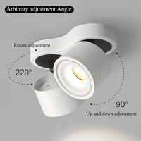 Spot LED Moderne à Double Tête Orientable pour Plafond, Plafonnier Dimmable à Montage en Saillie, Éclairage Intérieur Résidentiel
