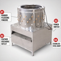Machine à épiler les plumes de volaille en acier inoxydable, conception compacte pour usage domestique, ferme, abattoir, vente en gros