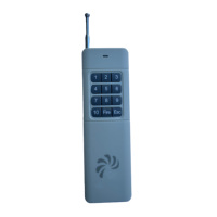 Allumeur électronique avec télécommande, fonction de temporisation, allumage continu, étincelle sans fumée, matériau plastique, certifié CE, fabriqué en usine