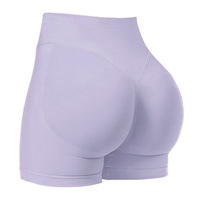 Vêtements de gymnastique sans couture, short d'entraînement, culotte taille haute sans couture, short de course en Nylon, échantillons gratuits