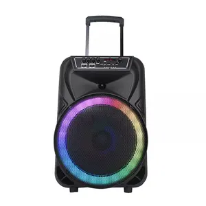 T Big Outdoor 12 Inches Super Bass Karaoke Bluetooth Speaker Trolley DJ Party RGB Light Portable Speaker