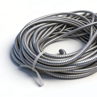 Tuyau flexible en acier inoxydable OEM 316 SS201/SS304 avec diamètre intérieur de 6 mm et diamètre extérieur de 8 mm, conduit métallique flexible, tuyau galvanisé