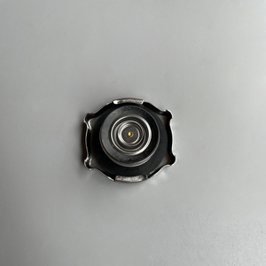 Vente en gros de pièces automobiles 55116897AA, cache de radiateur pour Jeep Dodge Chrysler 300 1993-2019 55116897AA - Product Image 2