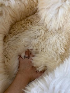 ペット用羊皮ベッド（犬用敷物、猫用敷物）ニュージーランド・オーストラリア産の本物の羊皮毛皮素材 - Product Image 2