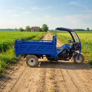 Tricycle motorisé à essence 200cc, châssis épaissi, pare-brise renforcé, carrosserie robuste pour le transport urbain-rural - Product Image 2