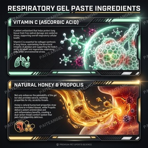 Gel Respiratorio OEM per Animali Domestici, Pasta Lenitiva per <span class=keywords><strong>Tosse</strong></span> di Cani e Gatti, Siringa per la Salute Polmonare, Etichetta Privata - Product Image 3